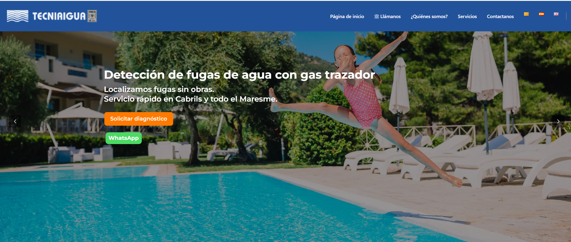 SEO y optimización web para Tecniaigua